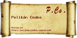 Pelikán Csaba névjegykártya